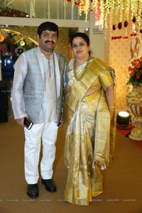 Ambica Krishna Grandson Wedding Reception