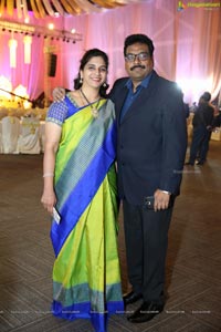 Ambica Krishna Grandson Wedding Reception