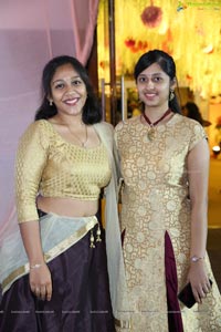 Ambica Krishna Grandson Wedding Reception