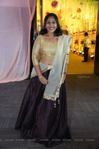 Ambica Krishna Grandson Wedding Reception