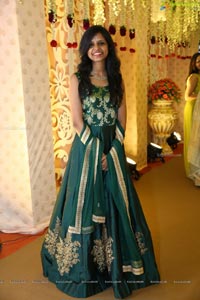 Ambica Krishna Grandson Wedding Reception