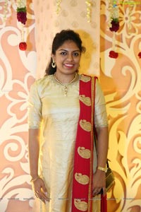 Ambica Krishna Grandson Wedding Reception