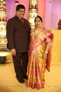 Ambica Krishna Grandson Wedding Reception