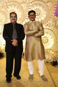 Ambica Krishna Grandson Wedding Reception