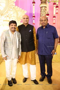 Ambica Krishna Grandson Wedding Reception