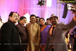 Ambica Krishna Grandson Wedding Reception