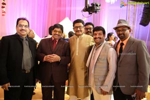 Ambica Krishna Grandson Wedding Reception