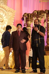 Ambica Krishna Grandson Wedding Reception