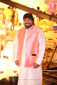 Ambica Krishna Grandson Wedding Reception