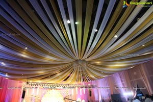 Ambica Krishna Grandson Wedding Reception