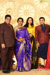 Ambica Krishna Grandson Wedding Reception