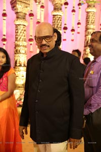 Ambica Krishna Grandson Wedding Reception