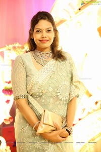 Ambica Krishna Grandson Wedding Reception