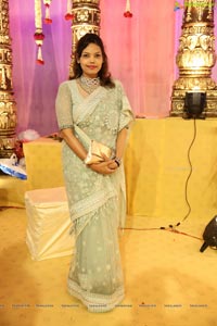 Ambica Krishna Grandson Wedding Reception