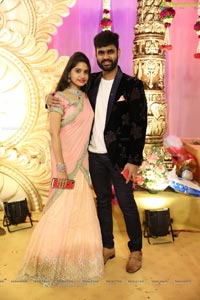 Ambica Krishna Grandson Wedding Reception