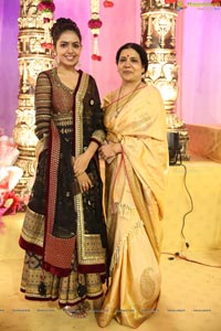 Ambica Krishna Grandson Wedding Reception