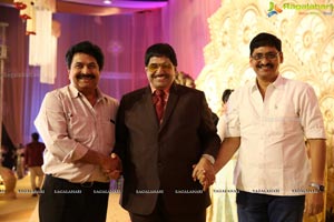 Ambica Krishna Grandson Wedding Reception