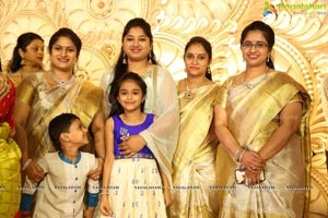 Ambica Krishna Grandson Wedding Reception