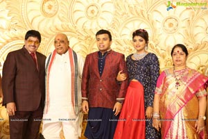 Ambica Krishna Grandson Wedding Reception