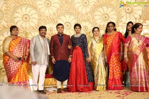 Ambica Krishna Grandson Wedding Reception