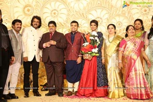 Ambica Krishna Grandson Wedding Reception