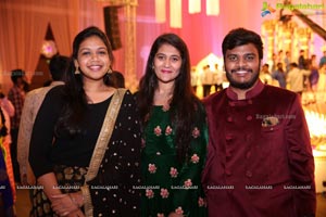 Ambica Krishna Grandson Wedding Reception