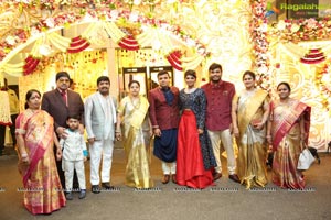 Ambica Krishna Grandson Wedding Reception