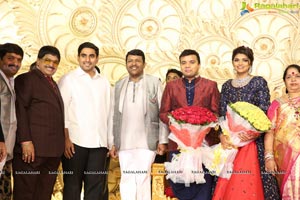 Ambica Krishna Grandson Wedding Reception