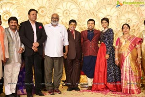 Ambica Krishna Grandson Wedding Reception