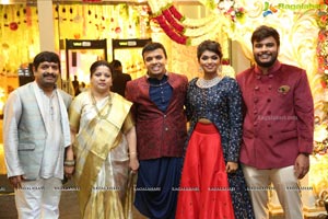 Ambica Krishna Grandson Wedding Reception