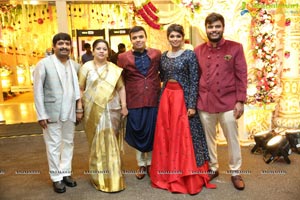 Ambica Krishna Grandson Wedding Reception