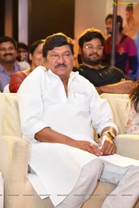 Kousalya Krishnamurthy Audio Release