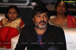 Ninu Veedani Needanu Nene Pre-Release Event