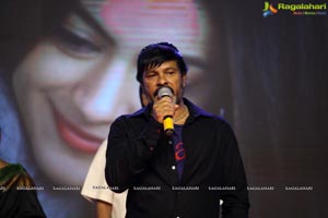 Ninu Veedani Needanu Nene Pre-Release Event