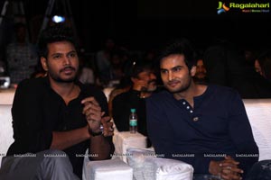 Ninu Veedani Needanu Nene Pre-Release Event