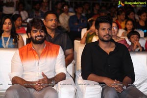 Ninu Veedani Needanu Nene Pre-Release Event