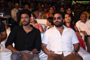 Ninu Veedani Needanu Nene Pre-Release Event