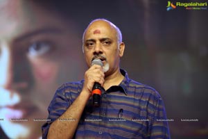 Ninu Veedani Needanu Nene Pre-Release Event