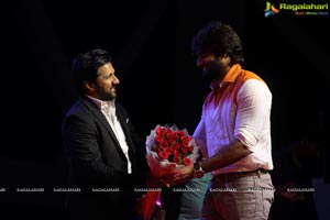 Ninu Veedani Needanu Nene Pre-Release Event