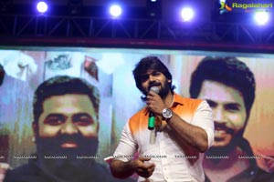 Ninu Veedani Needanu Nene Pre-Release Event