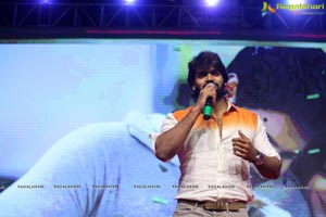 Ninu Veedani Needanu Nene Pre-Release Event