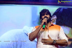 Ninu Veedani Needanu Nene Pre-Release Event