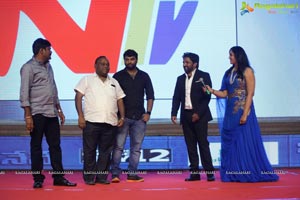 Ninu Veedani Needanu Nene Pre-Release Event