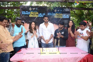 Ninu Veedani Needanu Nene Success Meet