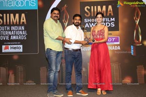 SIIMA Awards 2019 Curtain Raiser