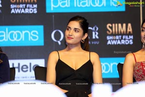 SIIMA Awards 2019 Curtain Raiser