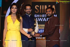 SIIMA Awards 2019 Curtain Raiser