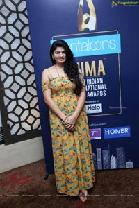 SIIMA Awards 2019 Curtain Raiser