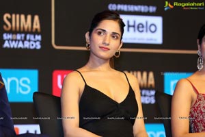 SIIMA Awards 2019 Curtain Raiser