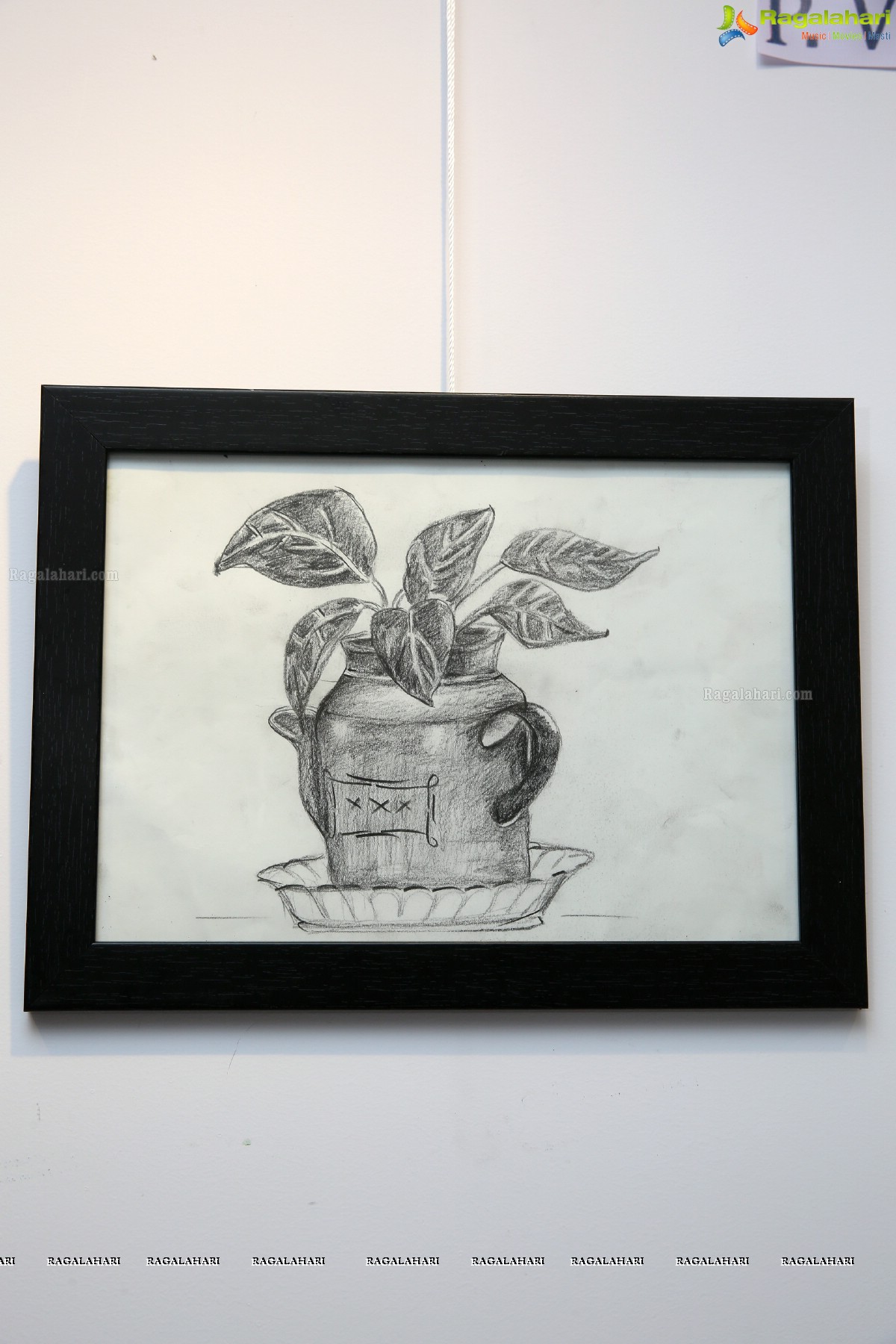 Blooming Buds - An Exhibition of Drawings & Paintings at Pegasus Art Gallery